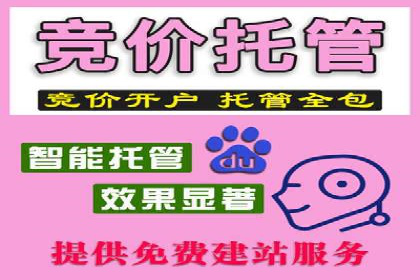 竞价推广中的数据监控与分析：某行业头部企业的成功经验
